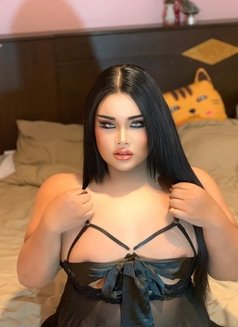 August Ts - Transsexual escort in Phuket Photo 11 of 14