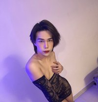♾️August lady boy vip Good serve ♾️ - Acompañantes transexual in Muscat