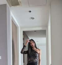 Aum - Transsexual escort in Pattaya