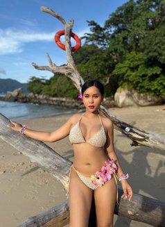 Aummy girl - escort in Phuket Photo 12 of 13