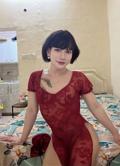Aunda babe - Transsexual escort in Muscat Photo 11 of 13