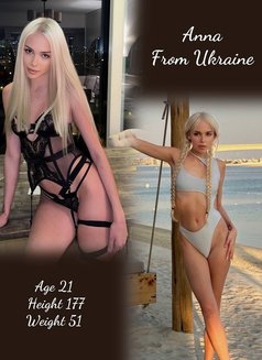 Aura Agency 20+ Models - escort agency in Dubai Photo 14 of 19