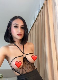 Aura Riani - Transsexual escort in Jakarta Photo 1 of 10