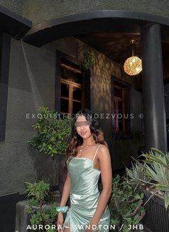 Aurora Exquisite Rendezvous - escort in Johannesburg Photo 2 of 2