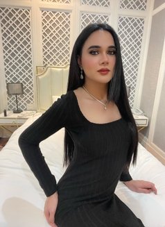 Aurora Top With 15.5cm - Transsexual escort in Abu Dhabi Photo 12 of 24