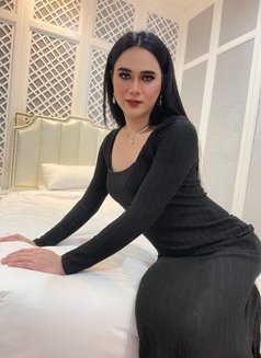 Aurora Top With 15.5cm - Transsexual escort in Abu Dhabi Photo 13 of 24