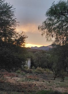 Aurora - escort in Cape Town Photo 9 of 16