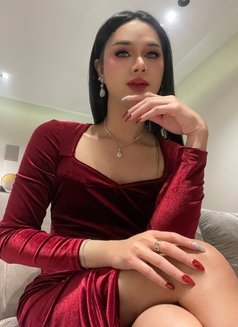 Aurora Top With 15.5cm - Transsexual escort in Bangkok Photo 28 of 30