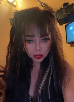 Australian mixed Girl for Hire - escort in Mumbai Photo 30 of 30