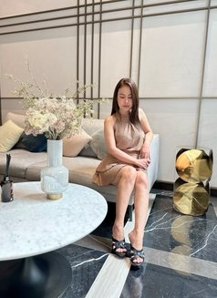 Ava Ava GFE Guide Massage - escort in Bangkok Photo 1 of 9