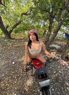 Ava - Transsexual escort in Manila Photo 5 of 5