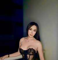 AVA IN BAHRAIN - Transsexual escort in Al Manama