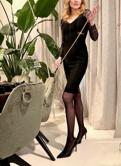 Ava Sophie - escort in Zürich Photo 19 of 29