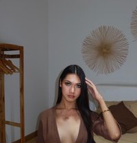 Ava - Transsexual escort in Pattaya