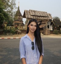 Ava - Transsexual escort in Pattaya