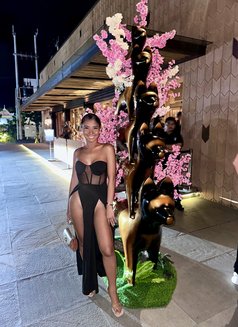 Avacumhard - Transsexual escort in Bali Photo 12 of 12