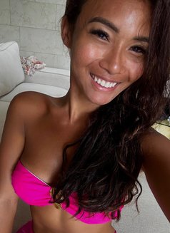 Avacumhard - Transsexual escort in Bali Photo 16 of 17