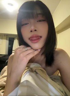 Avaia - Transsexual escort in Manila Photo 1 of 8