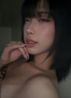 Avaia - Transsexual escort in Manila Photo 4 of 8