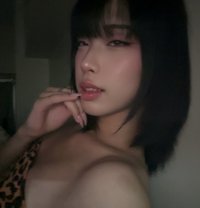 Avaia - Transsexual escort in Manila