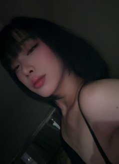 Avaia - Transsexual escort in Manila Photo 6 of 8