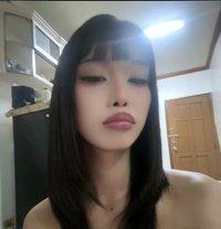 Avaia - Acompañantes transexual in Manila