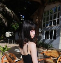Avaia - Acompañantes transexual in Manila