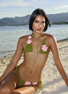 Irin Beach 🏝️ - Transsexual escort in Phuket Photo 30 of 30