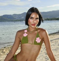 Irin Beach 🏝️ - Transsexual escort in Phuket