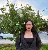 🦩 Good Top good Service 🦩 - Transsexual escort in İstanbul Photo 16 of 30