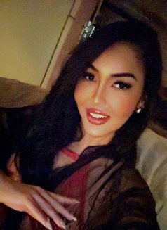 Island’s Sweetheart Hottie! Available - escort in Okinawa Island Photo 21 of 23