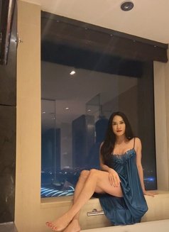🦊 sex Cam service ONLY🇹🇭 - Transsexual escort in Bangkok Photo 10 of 30