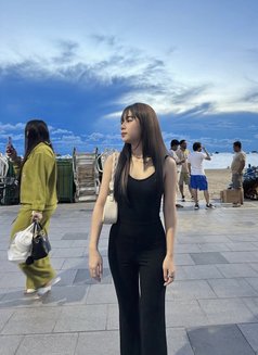 Available - puta in Okinawa Island Photo 14 of 14