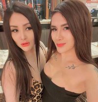 Shemale Dou - Transsexual escort in Hong Kong