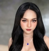 Cherlynz - Transsexual escort in Bangkok