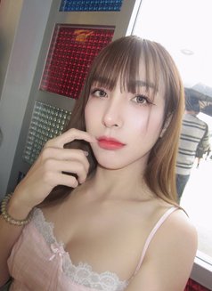 Avarina - Transsexual companion in Bangkok Photo 3 of 11