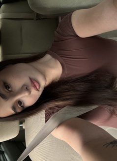Avelina - escort in Phuket Photo 16 of 17