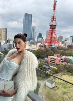 REAL PROFILE Avery Laurent - escort in Tokyo Photo 14 of 15