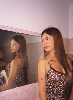 Avi Collins - Transsexual escort in Manila Photo 1 of 4