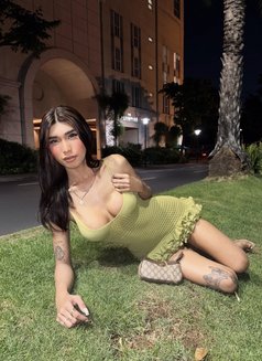 Avi Moren - Transsexual escort in Manila Photo 14 of 15