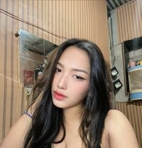 BBYGIRL NIKKI for CAMSHOW - Acompañantes transexual in Manila