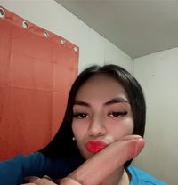 Avianna Camshow & Content - Transsexual escort in Manila