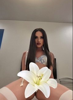 Diana Diva Romanian ts model - Transsexual escort in Kuala Lumpur Photo 2 of 6