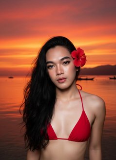 LadyDog - Acompañantes transexual in Manila Photo 7 of 8