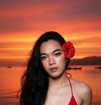 LadyDog - Transsexual escort in Manila
