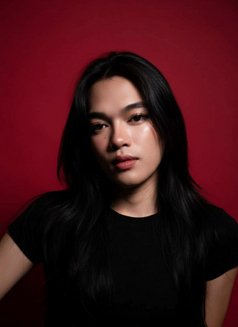LadyDog - Acompañantes transexual in Manila Photo 8 of 8