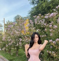 Aya Ur Top Escort - escort in Hong Kong