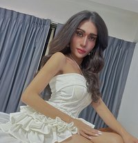 Ayabella - Transsexual escort in Bangkok Photo 29 of 29