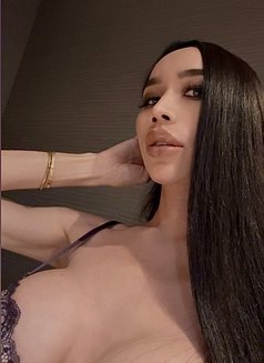 Ayana just arrived - Transsexual escort in Riyadh Photo 15 of 17