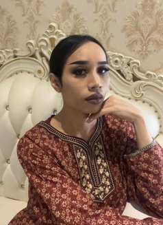 Ayana just arrived - Transsexual escort in Riyadh Photo 16 of 17